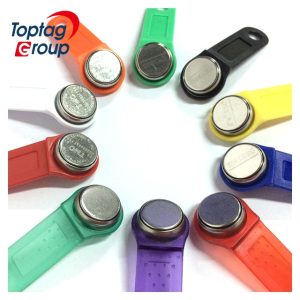 Magnetische Ibutton TM Karte